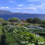 Tom's Bothy - Exterior