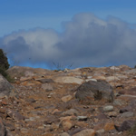 The top of Achmore track, a half-mile before Bothy
